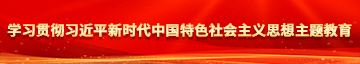 嗯嗯日逼学习贯彻习近平新时代中国特色社会主义思想主题教育